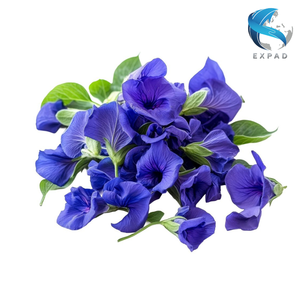 Flores de Guisante Mariposa Secas Listas para Suministrar, Pétalos Azules Naturales, Té Herbal, 18 Meses de Vida Útil, Bebida, Venta al por Mayor a Granel, Vietnam - Product Image 6
