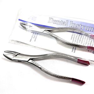 ODM OEM 2026 Pinces d'extraction dentaire allemandes robustes de qualité supérieure, instruments de qualité A+, vente en gros d'usine - Product Image 3