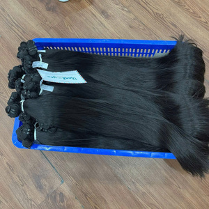 Extensions de Cheveux Naturels Vietnamiens Thanh An 2026 de Qualité Supérieure, Lisses Noirs, Double Trame Cousue à la Machine, Cuticules Alignées - Product Image 2