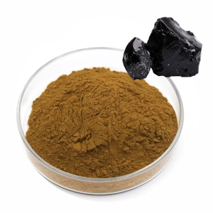 ผงสารสกัดจาก himalayan shilajit ธรรมชาติประสิทธิภาพสูงช่วยเพิ่มความแข็งแกร่งและการดูดซึมสารอาหารในผู้ชาย - Product Image 2