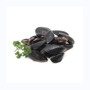 Top Quality Frozen Shellfish Mussels for sale - Product Image 1