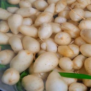 Proveedor Mayorista de Tubérculos Cocidos, Vegetales de Raíz Naturales para Postres, Congelados IQF, Estándar de Exportación - Product Image 6