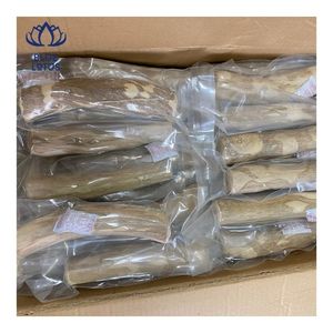 Juguete Masticable de Madera de Café para Perros, de Venta Rápida, Duradero, Ayuda a Limpiar los Dientes y Reduce el Estrés de Masticar - Product Image 6