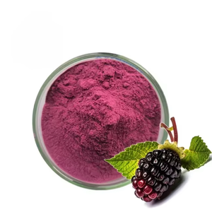 Poudre de mûrier 100% pure et naturelle, superaliment de qualité supérieure, riche en antioxydants, vitamines et fibres pour les smoothies et les boissons - Product Image 3