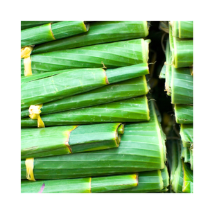 Feuilles naturelles, goût authentique – Feuilles de bananier surgelées pour gâteaux de riz, plats grillés et plats asiatiques - Product Image 5