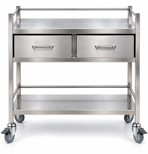 Carrito de Servicio de Acero Inoxidable con 2 Cajones Telescópicos, Doble Estante, Ruedas Giratorias Resistentes, Resistente a la Corrosión, para Laboratorio - Product Image 2
