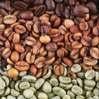 Café Robusta Torréfié Premium – Grains de Café des Highlands – Café Vietnamien – Fabrication OEM – Petites Emballages – Fournisseur en Gros pour le Marché de Détail