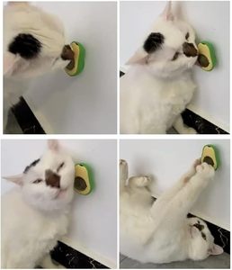 OEM ODM <span class=keywords><strong>Catnip</strong></span> Juguete con Forma de Aguacate para Gatos Pelota de Juego de Hierbas Interactiva para Alivio del Estrés y Entretenimiento Etiqueta Privada Disponible - Product Image 3