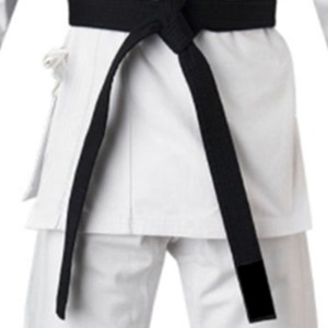 Best Quality Pakistan Made Taekwondo Uniform/Martial Arts Suits Wholesale Price Martial Arts Wear Karate Uniform OEM Serviced - Product Image 6