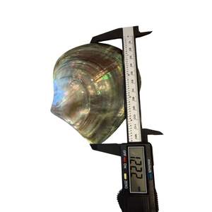 Juego de 2 Platos para Pastel de Concha de Ostra Negra Dorada SUPER SHINE, Hechos a Mano, Ecológicos, de 9-15 cm, con Reflejos Brillantes - Product Image 5