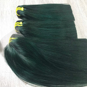 มัดผม100% ผมมนุษย์แบบมัดคู่สีเขียวเนื้อแข็ง - Product Image 1