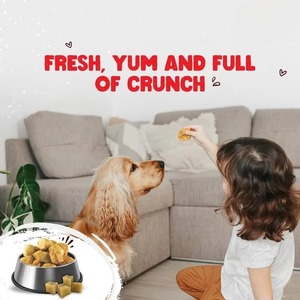 Friandises pour chiens Premium au fromage de yak de l'Himalaya, en croquettes soufflées à l'air, légères et croustillantes, 100% naturelles, riches en protéines, sans gluten, OEM ODM - Product Image 4