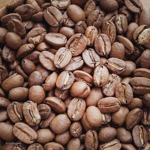 Premium Green <b>Bean</b> Supply Of Robusta Coffee With Bold Roast Character Bulk Export Packaging For Importers And Wholesalers - Product Image 3