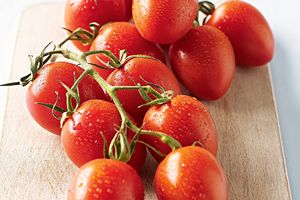 Fournisseur en gros de tomates fraîches de haute qualité, tomates rouges mûries sur la vigne pour l'exportation, supermarchés et industrie alimentaire - Product Image 3