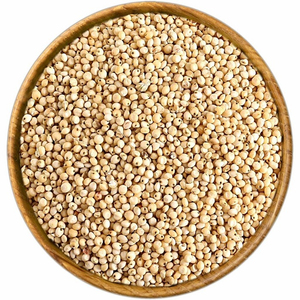 Graines de sorgho de haute qualité en vrac, exportées d'Afrique du Sud, GLOBAL EXPORT... pour les distributeurs et importateurs en gros du monde entier - Product Image 6