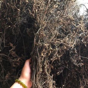Poudre de gelée de plantes noires biologiques et durables, faible en calories, dessert à base de plantes asiatiques pour les boutiques de Boba – Éco-responsable – Meilleures ventes - Product Image 5