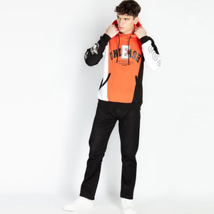 Sweat-shirts à capuche unisexes de haute qualité, sweat-shirts pour hommes, logo imprimé personnalisé, style streetwear, 100% coton molletonné - Product Image 4
