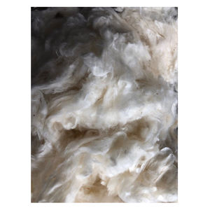 Suministro de Algodón Natural Crudo a Granel para Fábricas Textiles, Hilado y Producción de Telas - Product Image 5