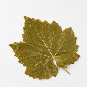 International Standard Made In Vietnam Top Selling Tasty <b>Big</b> Sale Vine leaves in Brine Bulk Packaging - Product Image 2