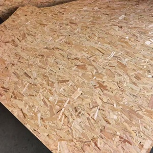 Proveedor Chino, Venta al por Mayor de <span class=keywords><strong>Tablero</strong></span> <span class=keywords><strong>OSB</strong></span> de Grado Excelente de 1220*2440 mm para Uso en Hoteles - Product Image 3