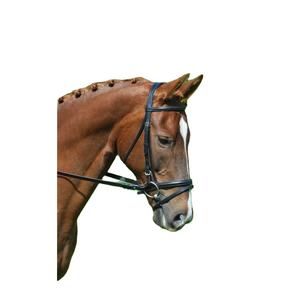 Banda de nariz cavesson clásica, con un aspecto refinado - Product Image 1