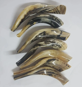 Shofar juif artisanal en corne de bélier, pièce de décoration musicale spirituelle pour la prière et les festivals, élégant cadeau de collection, stylé - Product Image 1