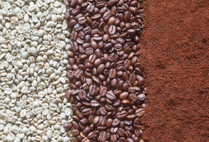 เมล็ดกาแฟอาราบิก้าแท้เกรดพรีเมียม คั่วเต็มเมล็ด ขายส่ง ปริมาณมาก - Product Image 6