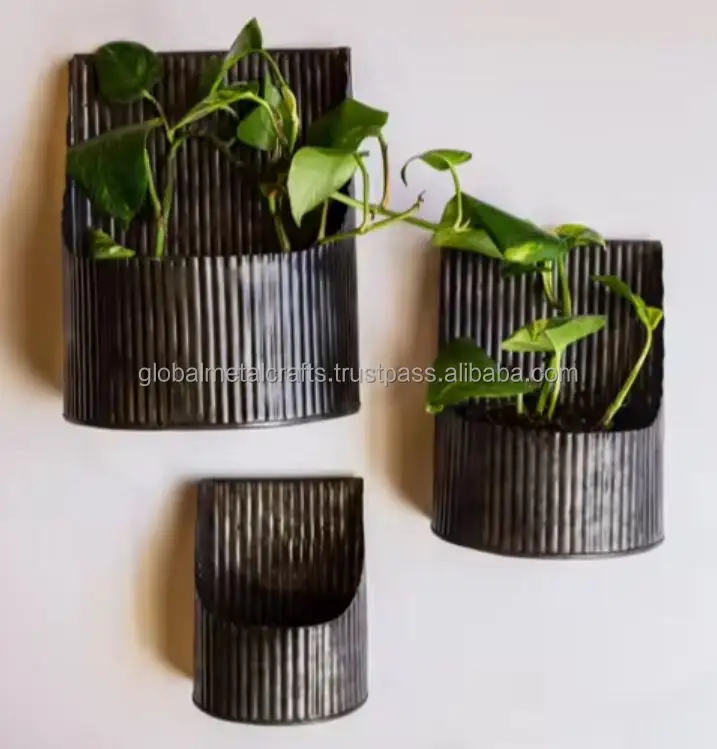 Scuro galvanizzato a costine di design a parete fioriera appesa per fiori vaso di piante grasse in vaso rustico