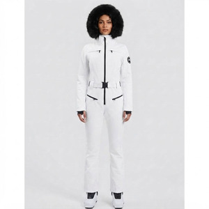 Combinaison de ski pour homme personnalisée, imperméable, coupe-vent, combinaison de neige chaude pour l'hiver avec capuche en fourrure amovible, polyester 220g - Product Image 1