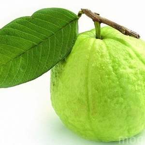 Goyave congelée la plus vendue pour la crème glacée de dessert de boisson de nourriture à un prix abordable - Product Image 1