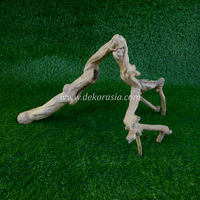 Kaffeeroot-Holz (60-80cm) Umweltfreundlich für Reptilien-Dschungel-Vivarien & Terrarien Tierkäfige - Marke CR-M
