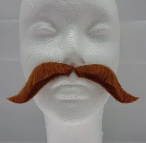 432pcs mỗi thùng carton Chất lượng cao Rick Viking ria mép sang trọng Đồ chơi mới lạ đùa đùa gag Quà Tặng bên lễ hội EN71/CE chứng nhận - Product Image 1