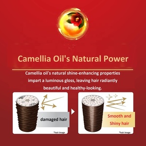 Japan TSUBAKI Premium Volume & Repair Champú para el cabello Recambio 330ml Venta al por mayor Aceite de Camelia Fluffy Bounce Productos más vendidos 2024 - Product Image 3