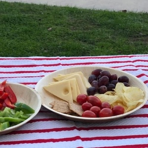 Assiettes jetables en feuilles de palmier de 10 pouces, 100 % zéro déchet, sans produits chimiques, biodégradables, écologiques, compatibles micro-ondes, qualité alimentaire - Product Image 5