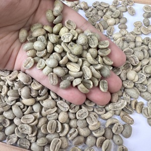 Grains de café vert Arabica vietnamien de qualité supérieure SCR13 SCR16 SCR18 Entièrement lavés Bruts Non torréfiés Vente en gros Exportation directe/ ANNA DO - Product Image 1