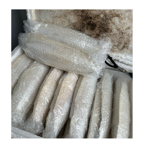 Hueso de Sepia Seco para Aves, Fuente Natural de Calcio para Periquitos, Loros y Cacatúas - Product Image 6