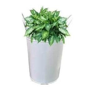 Pot de fleurs en métal rétro pour plantes succulentes, pot de fleurs rustique avec poignée en corde, jardinière ovale galvanisée en zinc pour l'intérieur et l'extérieur - Product Image 2