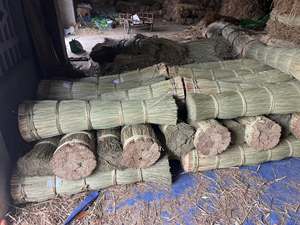 Cheap Price for Retailers Thick 100% Seagrass Rope Braided <b>String</b> Natural Straw Yarn for Handicraft Decor Vietnam Origin - Product Image 4