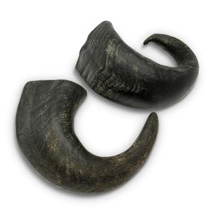 เขาควายดิบ วัสดุเขาวัวธรรมชาติ สำหรับงานแกะสลักและทำด้ามจับ - Product Image 3