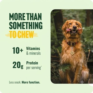 Barras de Carne para Perros, Alto Contenido Proteico, Estimulan la Actividad Mental, Golosinas Masticables de Larga Duración, Marca Privada, Venta al Por Mayor, Suministro a Granel - Product Image 5