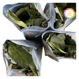 Hojas de guanábana secas al por mayor, hojas enteras naturales, limpias y secas, con bajo contenido de humedad, aptas para diversas aplicaciones - Product Image 1