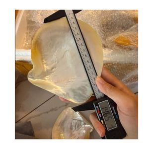 Plato Decorativo Clásico Único de Nácar, Bandeja de Concha Natural Ecológica para Joyas, Ideal para Hoteles y Restaurantes - Product Image 6