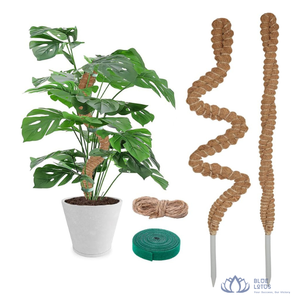 [MEJOR CALIFICADO] Poste de Fibra de Coco BLUE LOTUS FARM para Soporte de Plantas, Estaca de Fibra de Coco para Plantas Trepadoras de Interior, Directo de Fábrica Ben Tre - Product Image 1