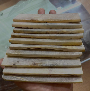 Plato de Cuerno de Búfalo Natural, Plato de Cuerno de Calidad de Exportación, Plato para Leche a Precio Accesible de la India, de Falak World Export - Product Image 2