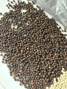 Granos de Pimienta Negra de Poivre Pepe Nero Esterilizados, Pimienta Negra Vietnamita ASTA FAQ - MAX - Product Image 3