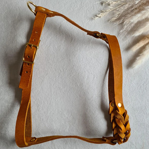 Wholesale Comfortable <b>braided</b> leather pet collar designed for everyday wear and outdoor dog adventures in reasonable price - Product Image 6
