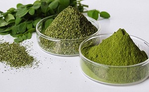 Polvo de Hoja de Moringa de Alta Calidad – Orgánico y Rico en Nutrientes, Superalimento Natural // Mr.Tom - Product Image 6