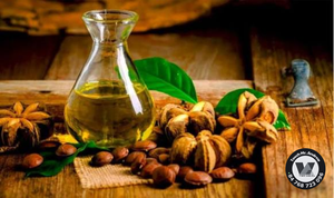 Aceite de Semilla de Plukenetia Volubilis de Vietnam, Aceite Puro de Sacha Inchi de Grado Cosmético para el Cuidado de Uñas y Cabello, Formulación de 16 oz, MÁS VENDIDO - Product Image 6