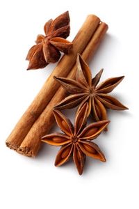 Anís estrellado kosher premium de Yen Bai, Vietnam |   Cosecha de Otoño-Primavera, 13.5% de Humedad |   Caja de Cartón de 7-10 kg |   Celeste VILACONIC - Product Image 5