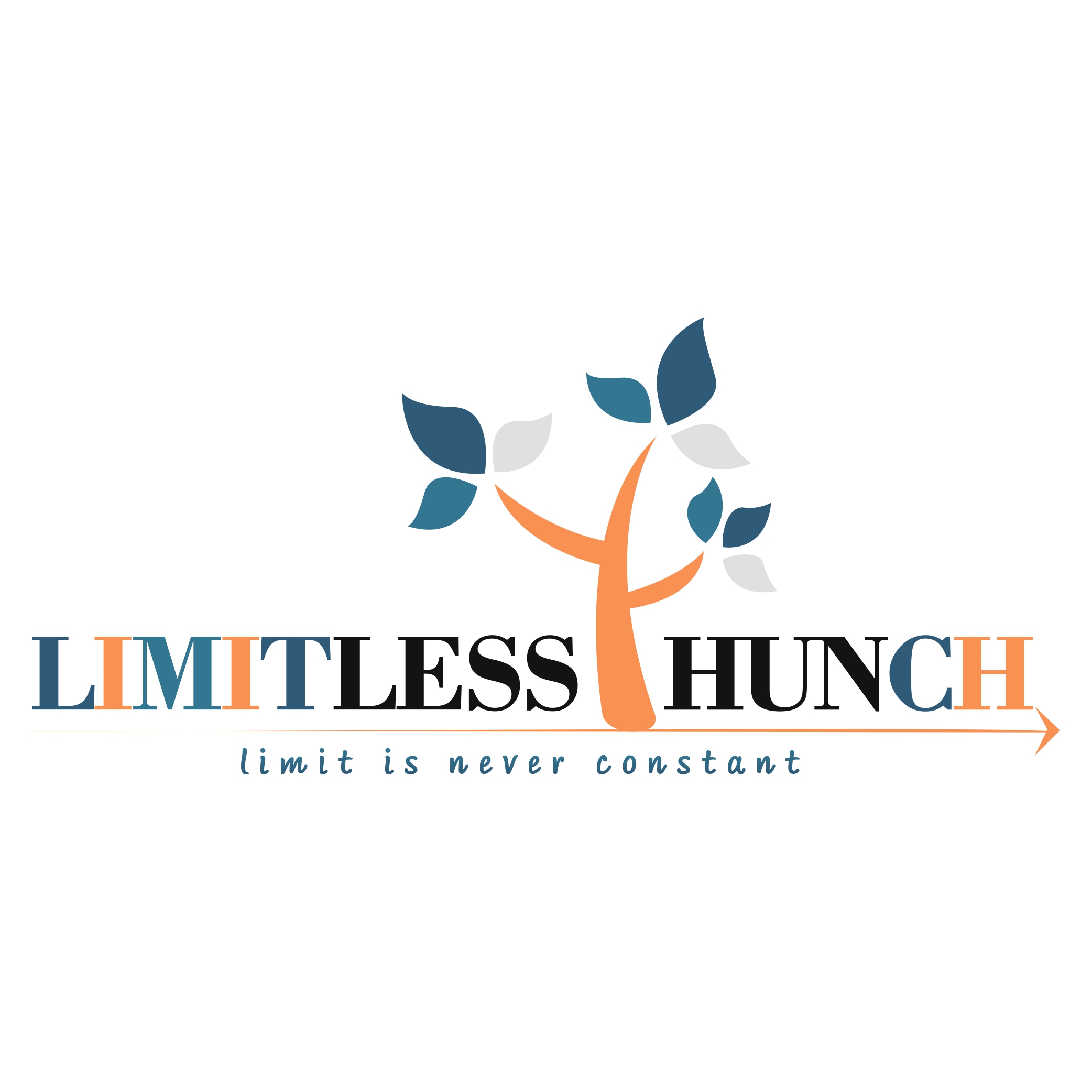 M/S LIMITLESS HUNCH logo